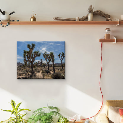 Vista del desierto - Owen Rupp