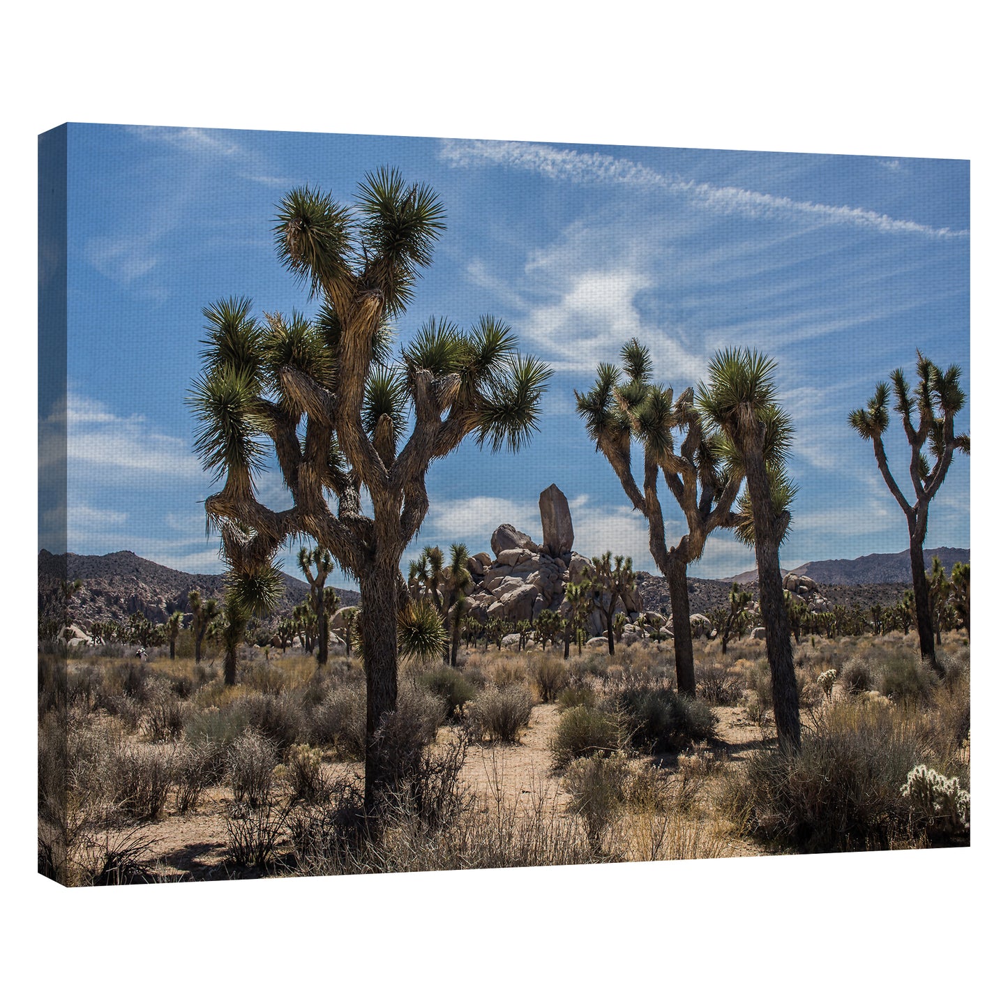 Vista del desierto - Owen Rupp