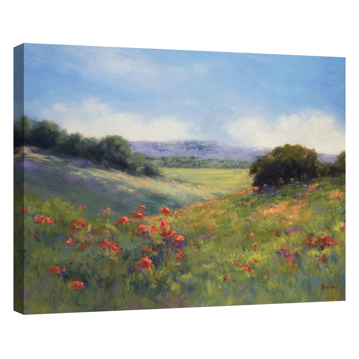 Amapolas con vistas - Alice Weil