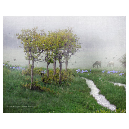 Robles brumosos e iris - Chris Vest