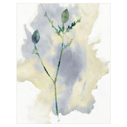 Flor silvestre lirica - Tania Bello