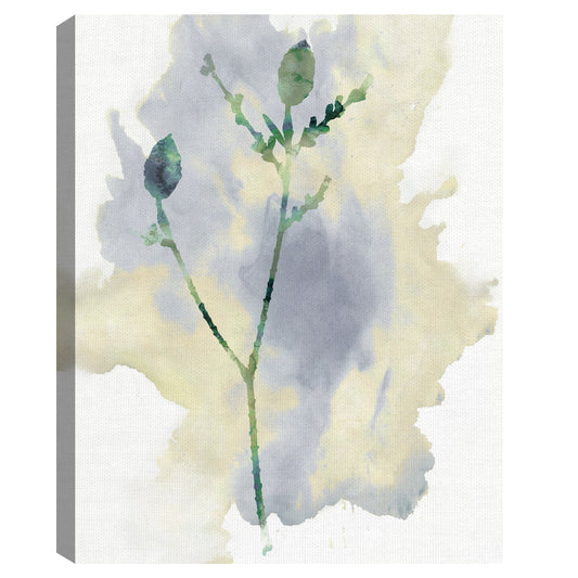 Flor silvestre lirica - Tania Bello