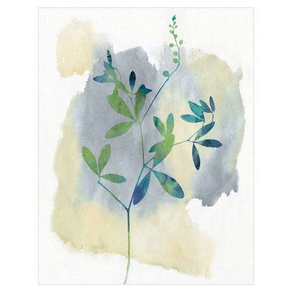 Sinfonia de flores silvestres - Tania Bello