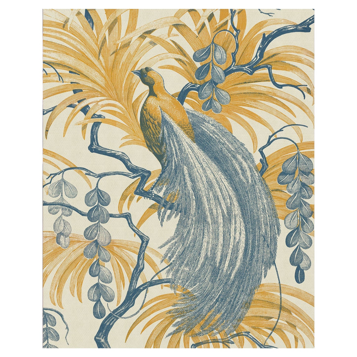 Fantasia emplumada - The Vintage Collection