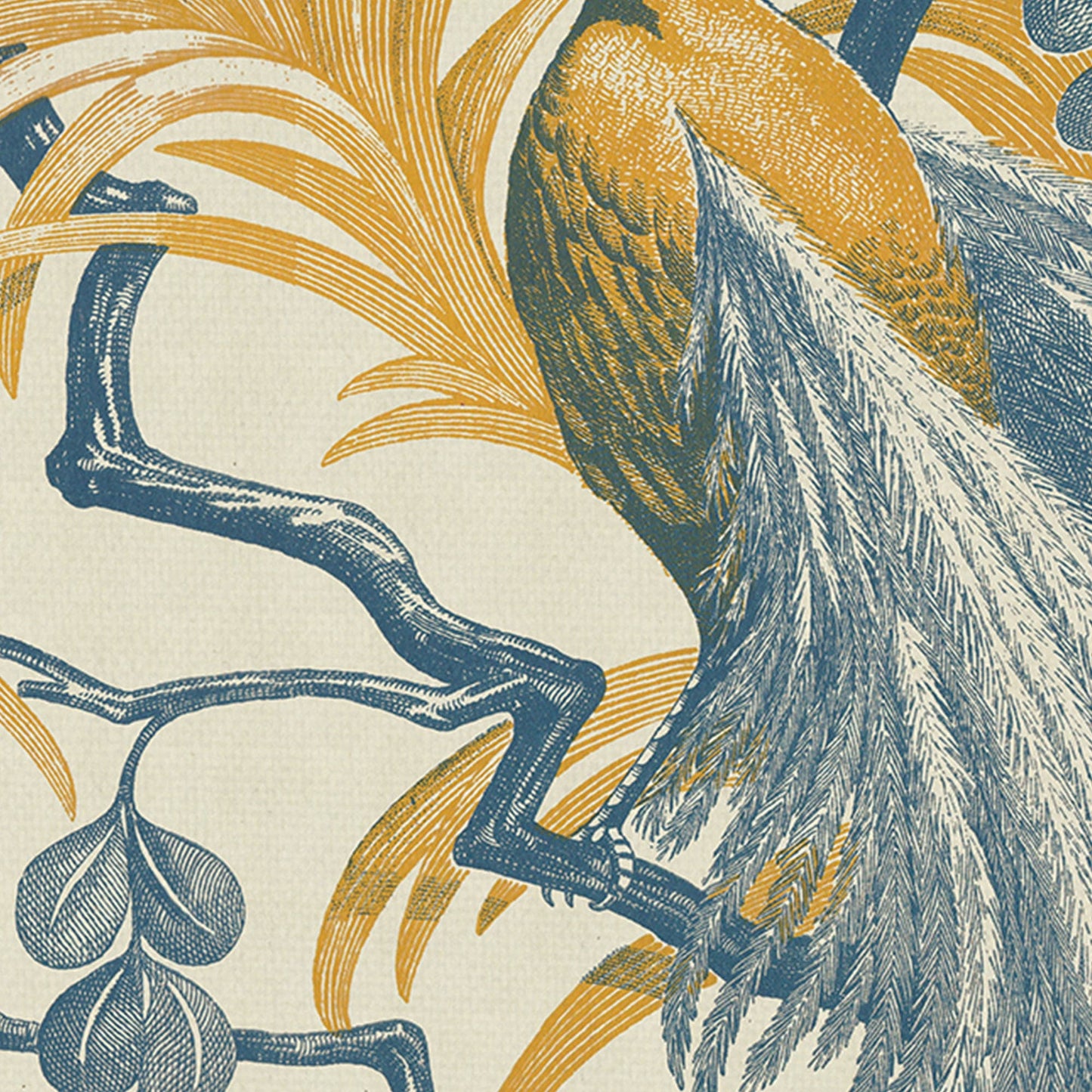 Fantasia emplumada - The Vintage Collection