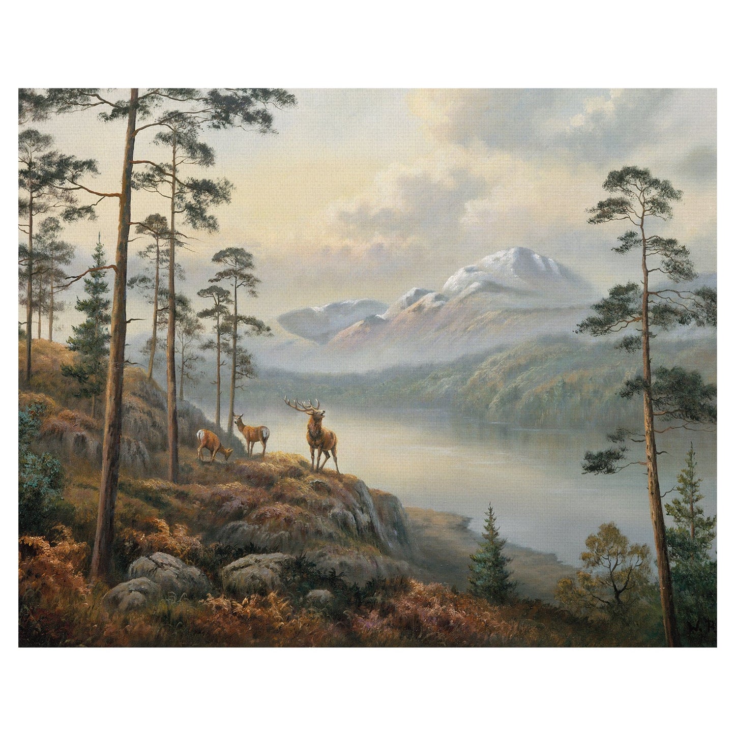 Llamada de lo salvaje - Wendy Reeves