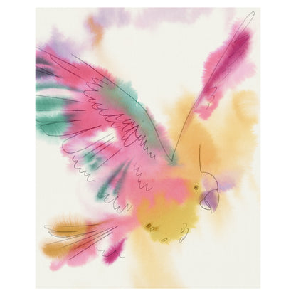 Paradise Parrot Glide - Kristine Hegre
