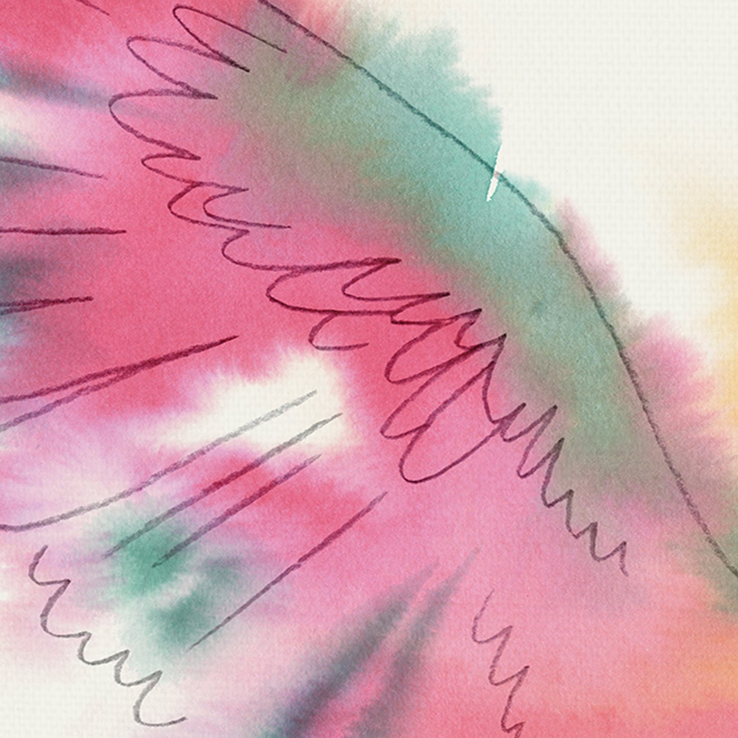Paradise Parrot Glide - Kristine Hegre