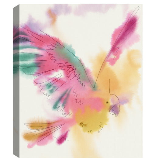 Paradise Parrot Glide - Kristine Hegre