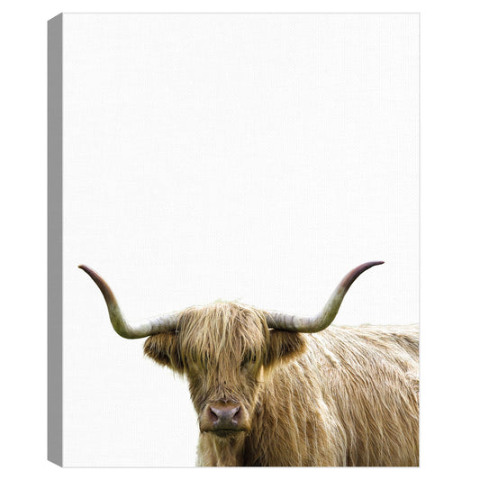 Bonny Bovina - Assaf Frank