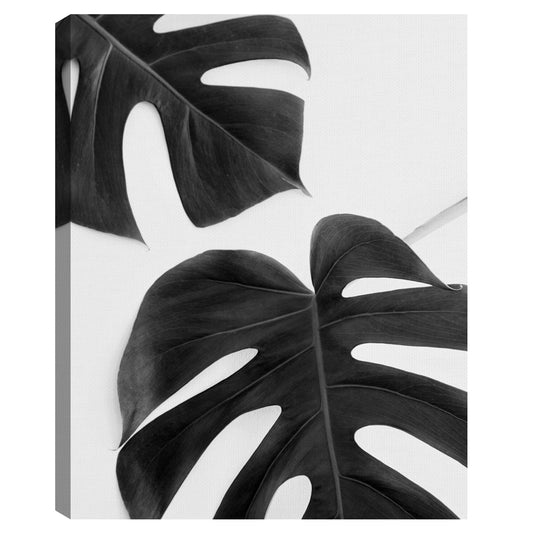 Monstera Dúo Negro - Irene Suchocki