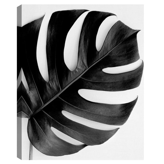 Monstera Solo Negro - Irene Suchocki