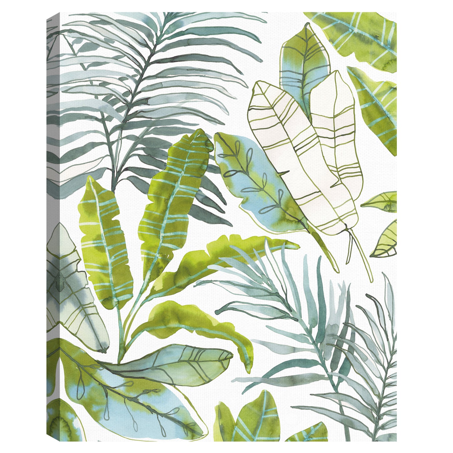 Selva tropical - Sandra Jacobs