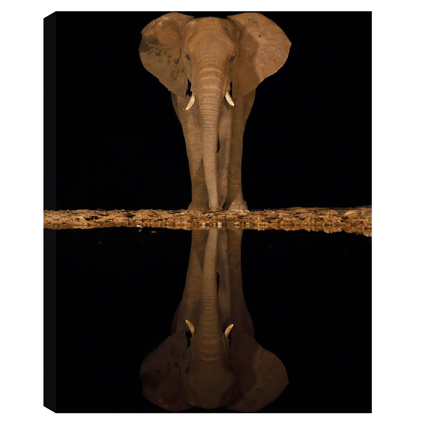 Elefante junto al lago - Staffan Widstrand
