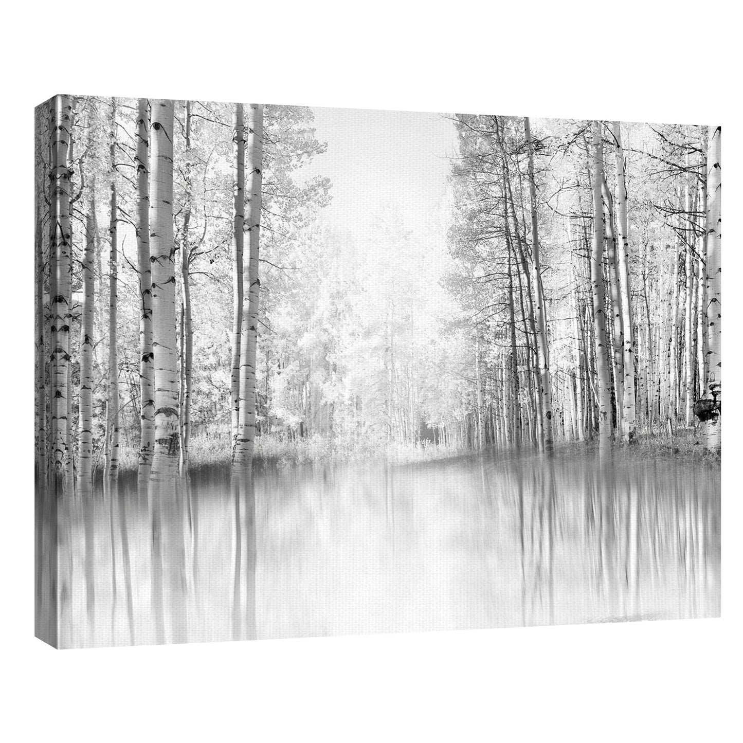 Reflejo de Aspen - Danita Delimont