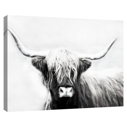 Longhorn de las Tierras Altas - Danita Delimont