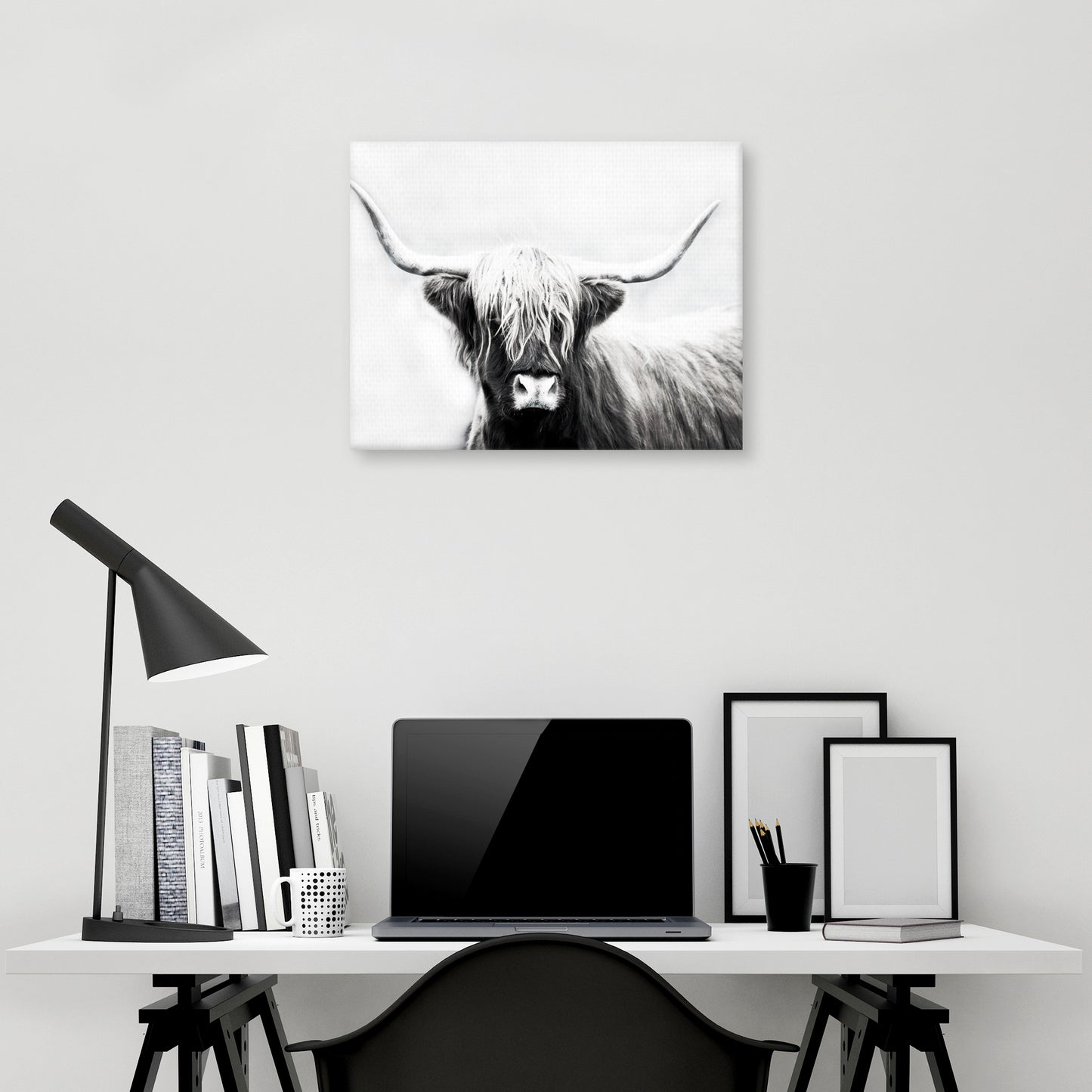 Longhorn de las Tierras Altas - Danita Delimont