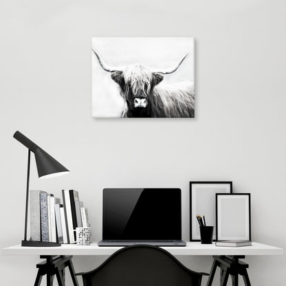 Longhorn de las Tierras Altas - Danita Delimont