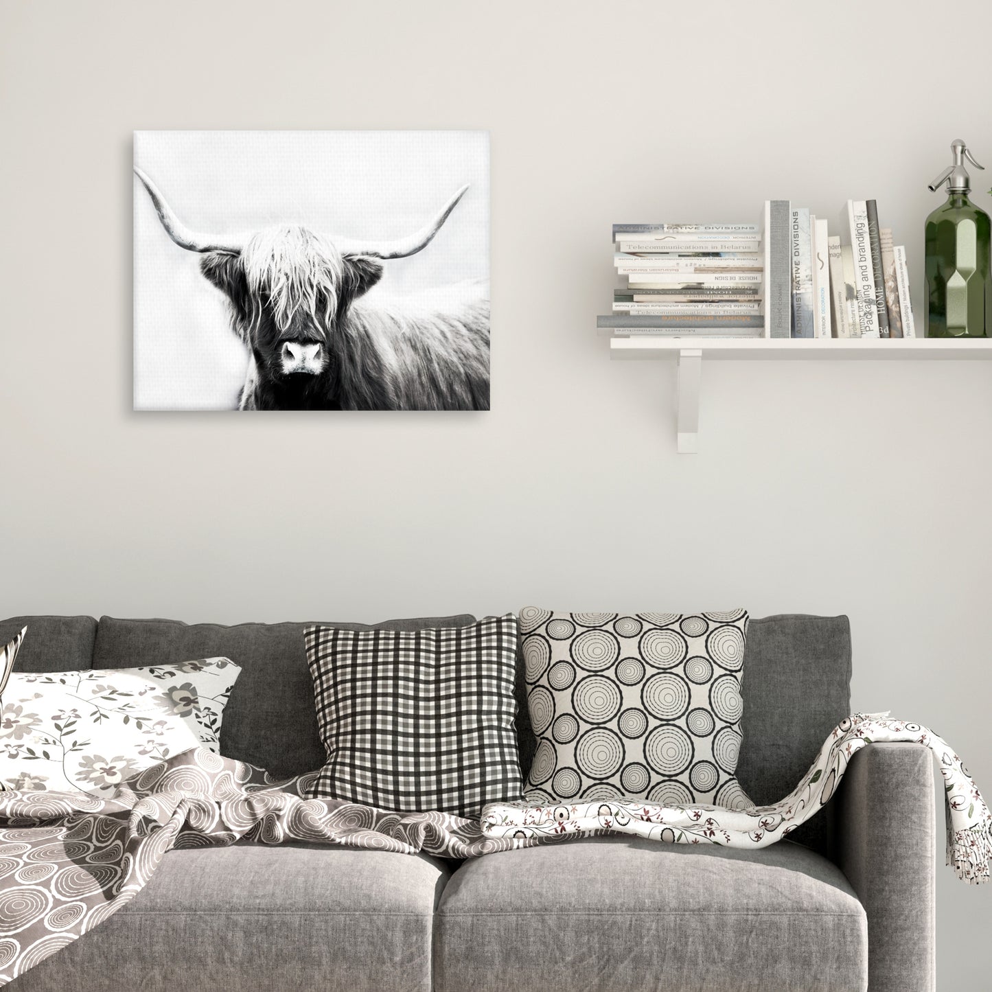 Longhorn de las Tierras Altas - Danita Delimont