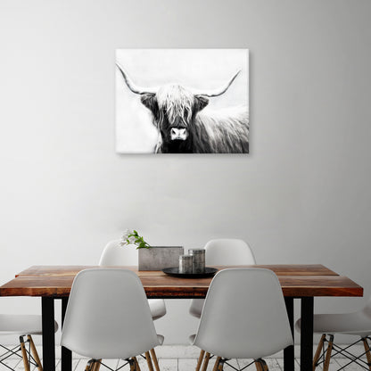 Longhorn de las Tierras Altas - Danita Delimont