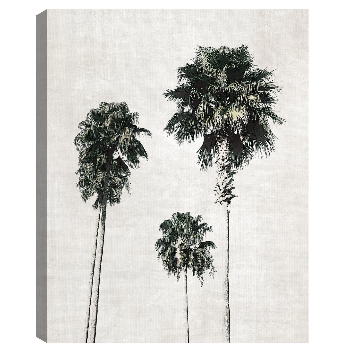 Cuaderno de bocetos de palmera - Natalie Carpentieri