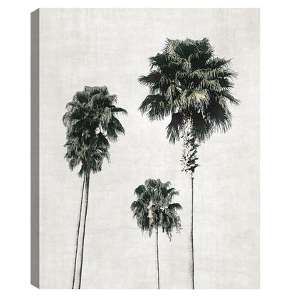 Cuaderno de bocetos de palmera - Natalie Carpentieri
