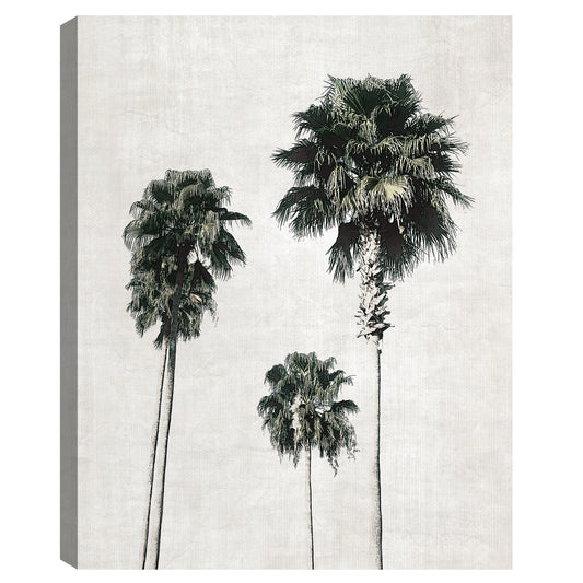 Cuaderno de bocetos de palmera - Natalie Carpentieri