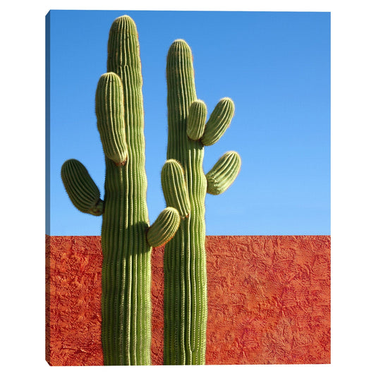 Colores Cactus - Belle Maison