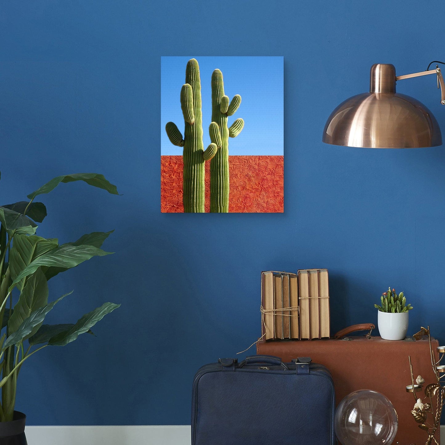 Colores Cactus - Belle Maison