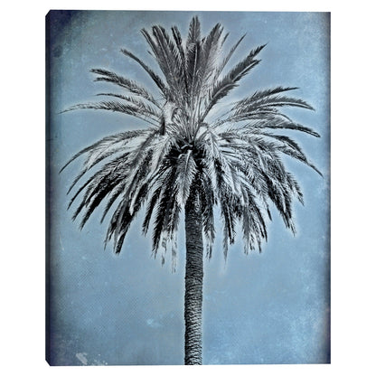 Palma sobre azul - Belle Maison
