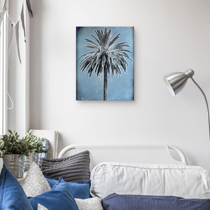 Palma sobre azul - Belle Maison