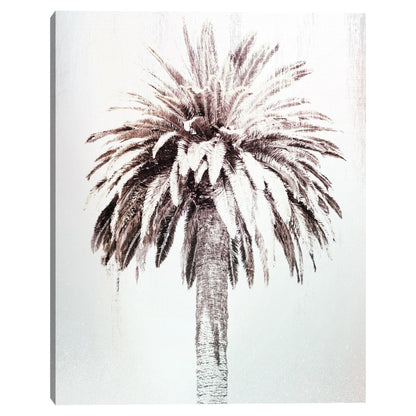 Estudio Retro Palm - Belle Maison