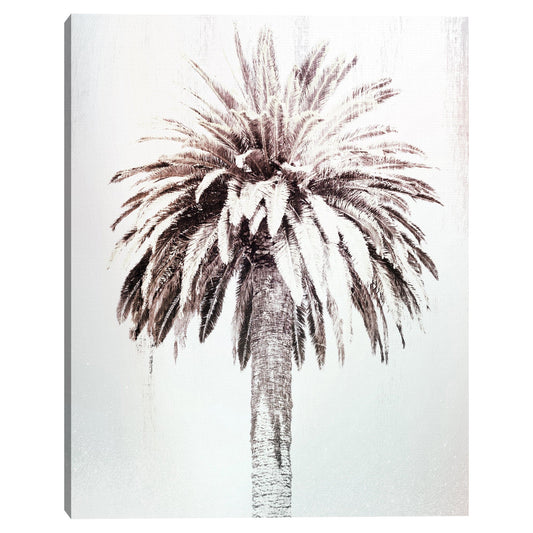 Estudio Retro Palm - Belle Maison