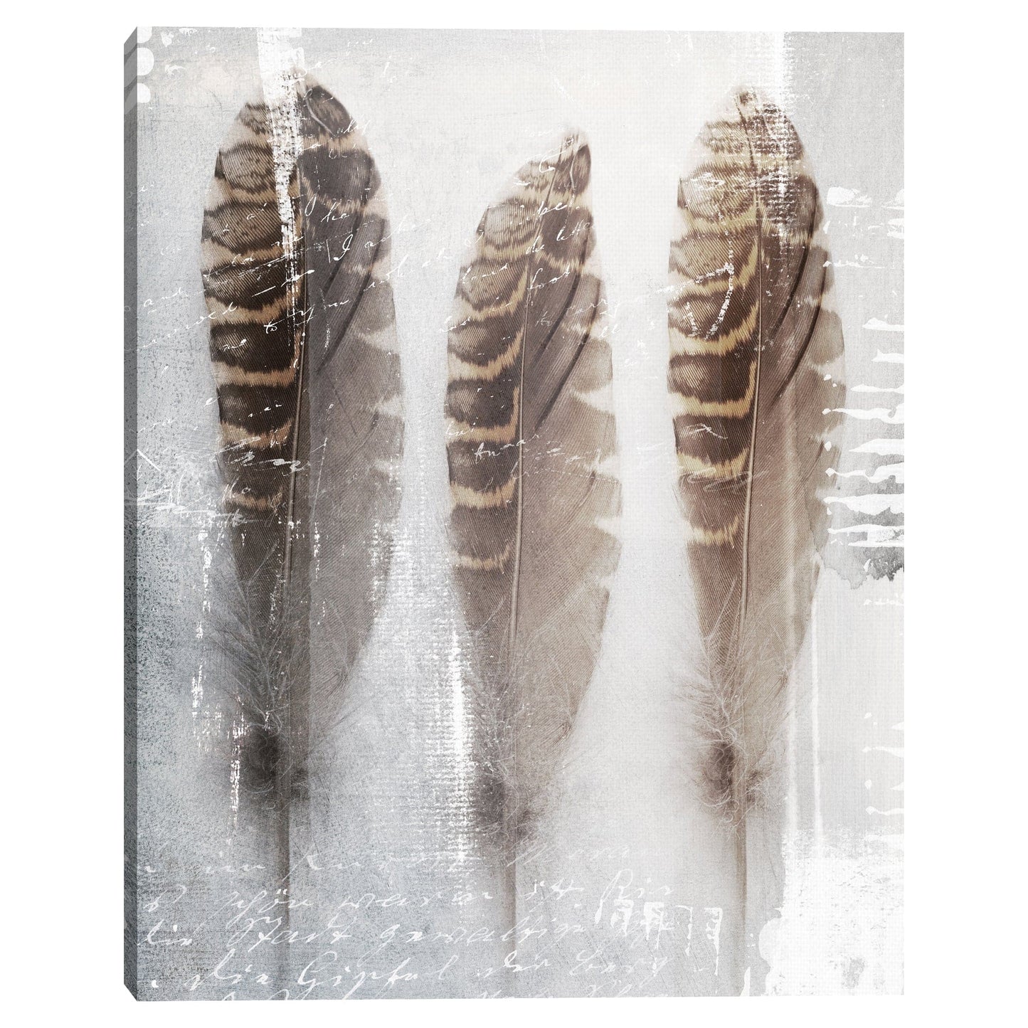 Tres plumas - Belle Maison