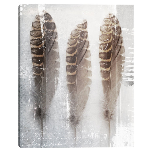 Tres plumas - Belle Maison
