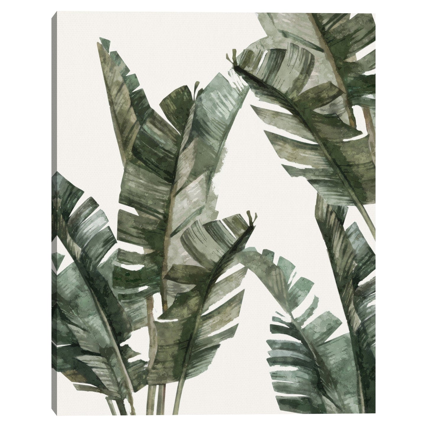 Verdes tropicales III - Belle Maison