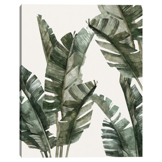 Verdes tropicales III - Belle Maison