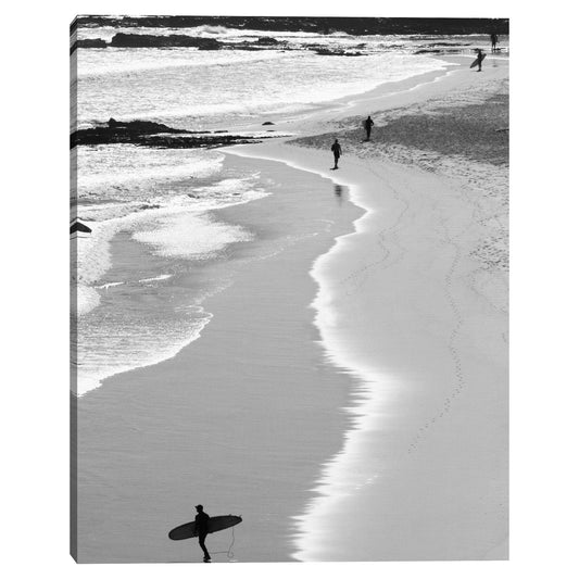 Playa de la Costa de Oro - Danita Delimont