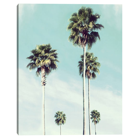 Palma vintage - Natalie Carpentieri