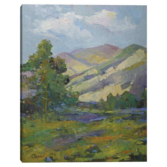 Dia de Primavera - Alexi Fine