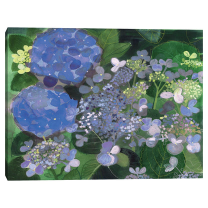 Hortensia azul - Maret Hensick