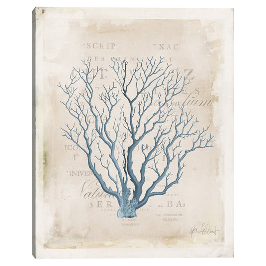 Jardin del Mar IX - Katie Pertiet