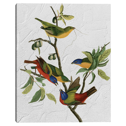 Audubon pintado Textura - Design Lab
