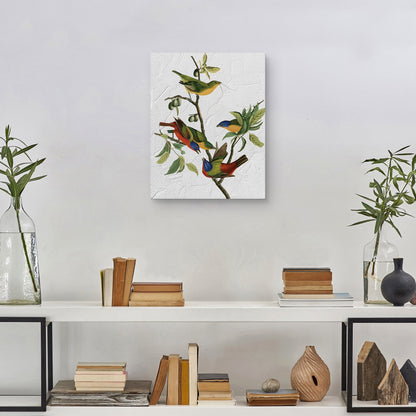 Audubon pintado Textura - Design Lab