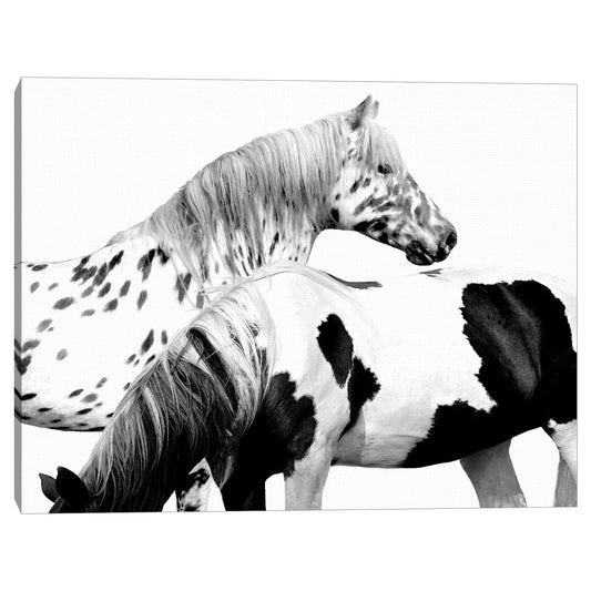Manchado y Pinto - Samantha Carter