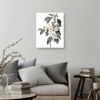 Cultivo de flores de manzana - Design Lab