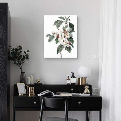 Cultivo de flores de manzana - Design Lab