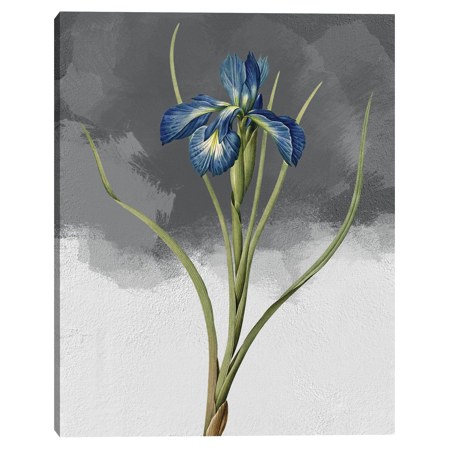 Gris Iris azul - Design Lab