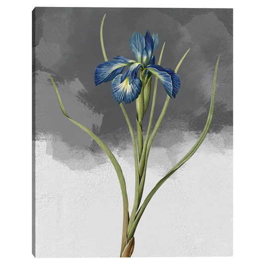 Gris Iris azul - Design Lab