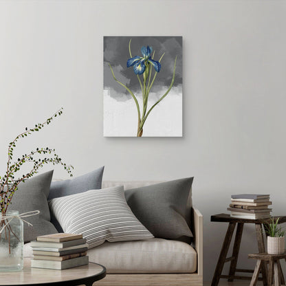 Gris Iris azul - Design Lab